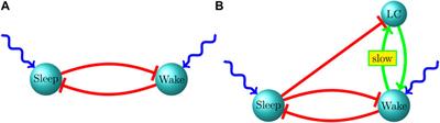 Development of the sleep-wake switch in rats during the P2-P21 early infancy period